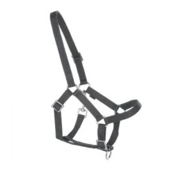 Halfter Für Gartenpferde