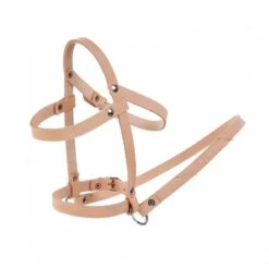 Halfter Für Jolly Popcorn