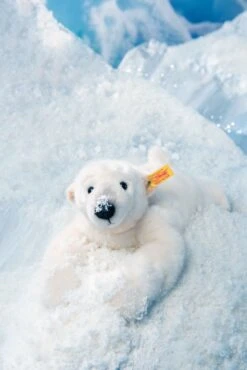 Nanouk Eisbär -Kinderwelt Angebote Store nanouk eisbaer 062605 9