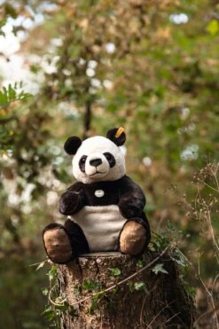 Pandi Großer Panda 10 Pandi Großer Panda -Kinderwelt Angebote Store teddies for tomorrow pandi grosser panda 067877 22