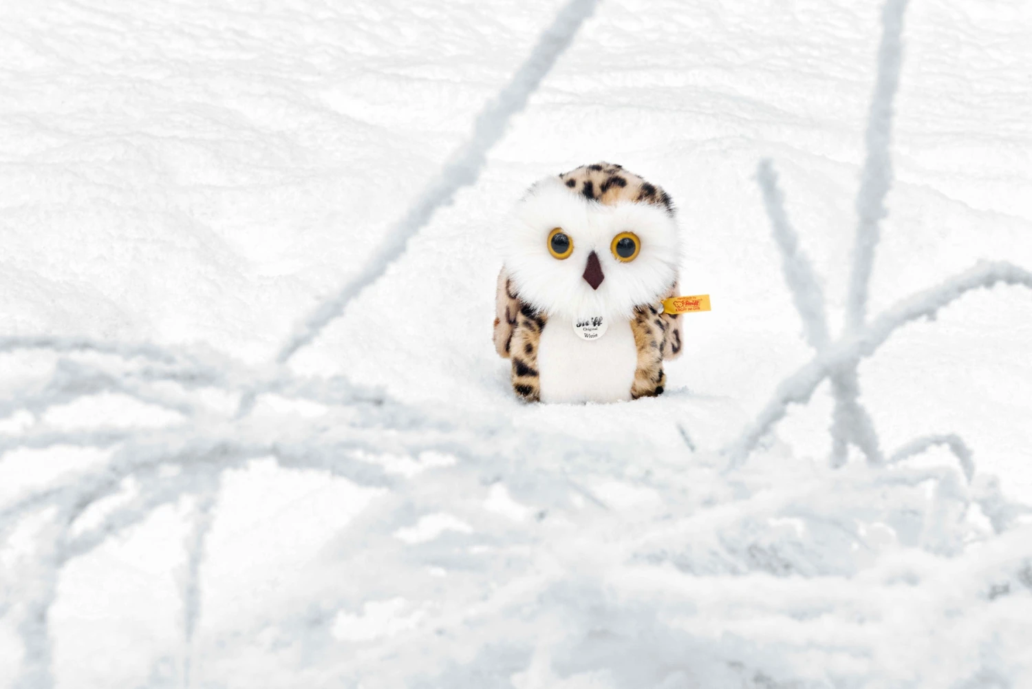 Wittie Eule 2 Wittie Eule – Bild 2