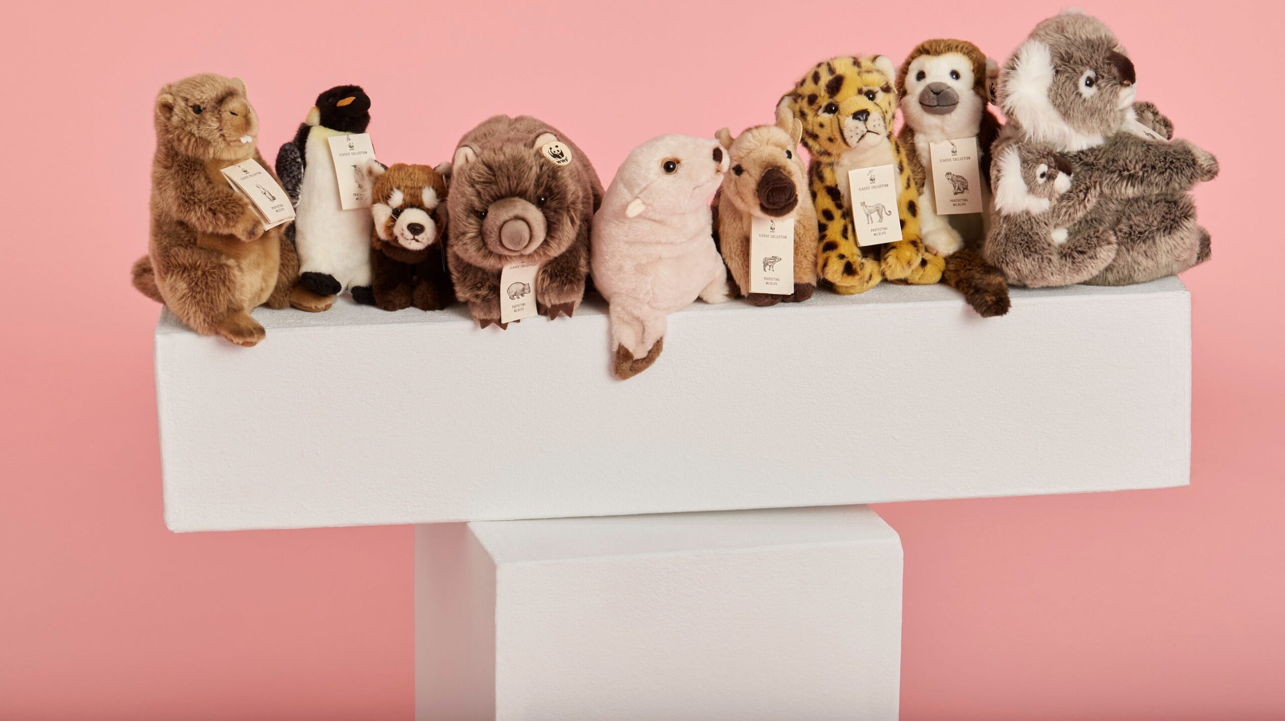 Kinderwelt Angebote Store 2 Kinderwelt Angebote Store -Kinderwelt Angebote Store Bannerbild 2 2600x scaled